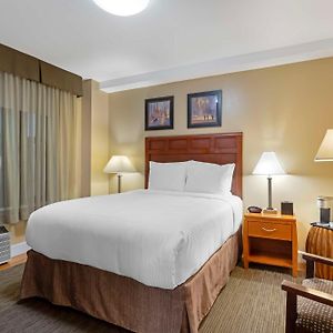 Queen Room Roll Shower ADA
